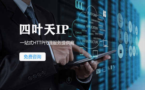 【忻州代理IP】IP被限制了怎么办？